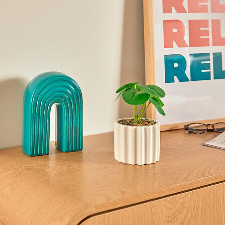 Plantă artificială Atmosphera Flow, 16 cm, diverse specii