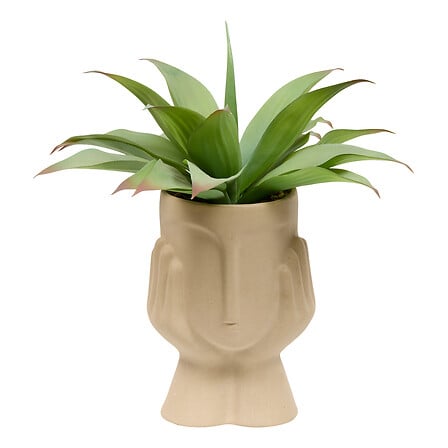 Изкуствено растение atmosphera Sien Agava, 48 cm, Керамика - Homesector