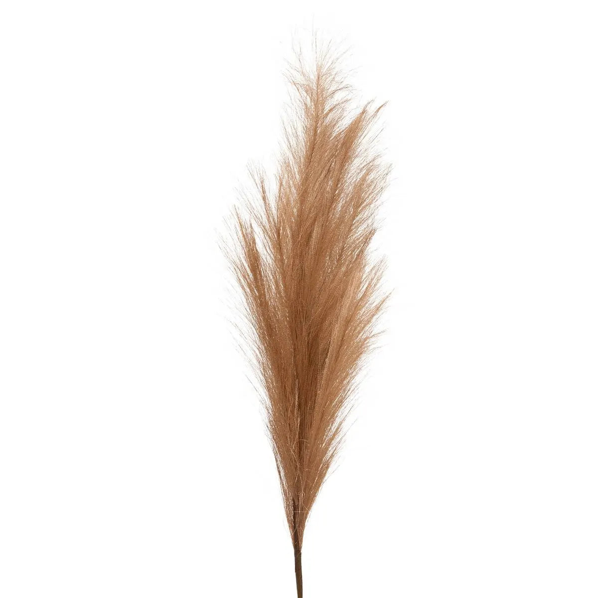 Ramură artificială de pampas Atmosphera Adna, 90 cm, asortate