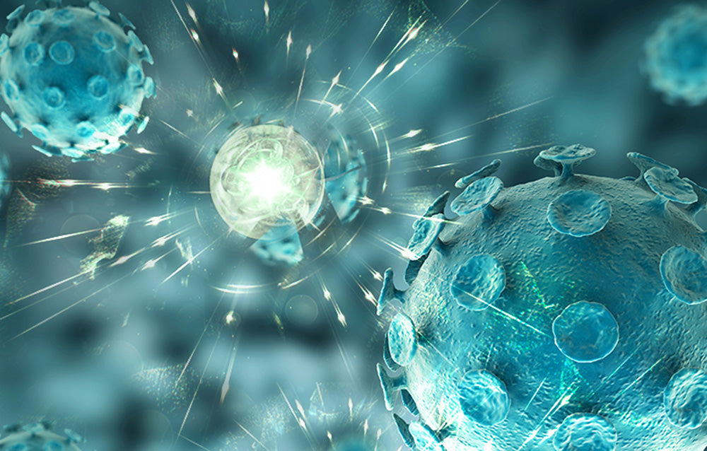 Aparat de curățat cu abur multifuncțional Deerma ZQ610, 1300W, 230ml, 105°C, cablu 4m, alb