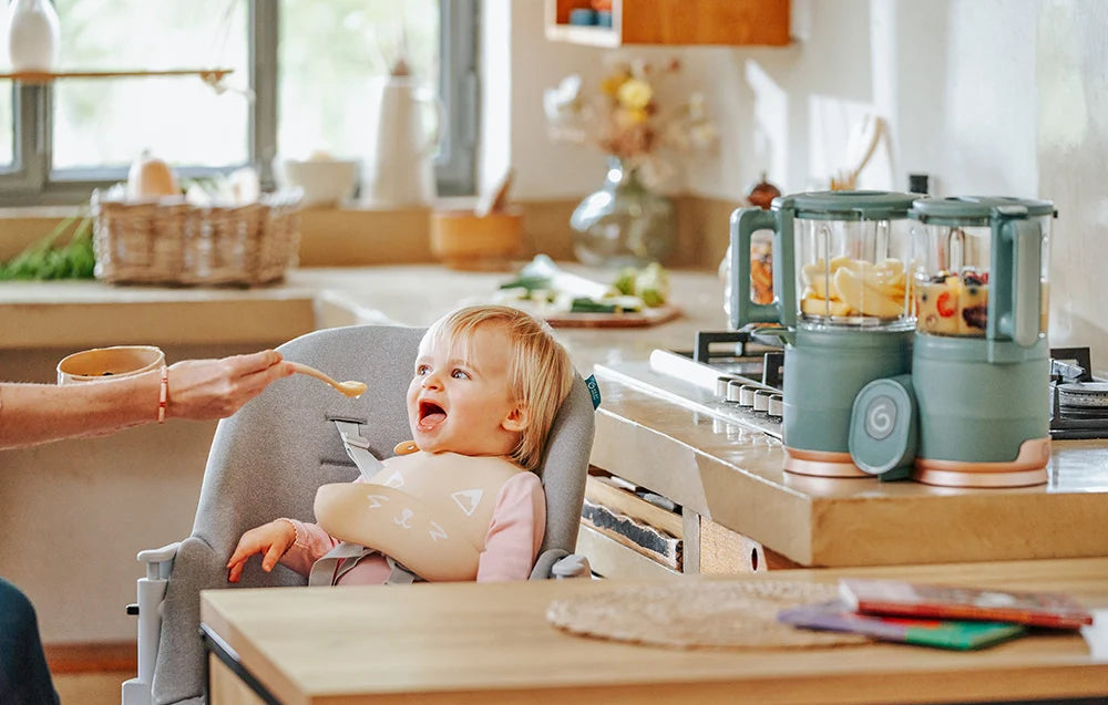 Aparat de călcat cu abur 6 luni+, 4 în 1 Nutribaby din sticlă