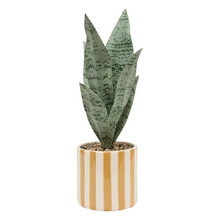 Atmosfera de plante artificiale Sansevieria Chéri, 38 cm