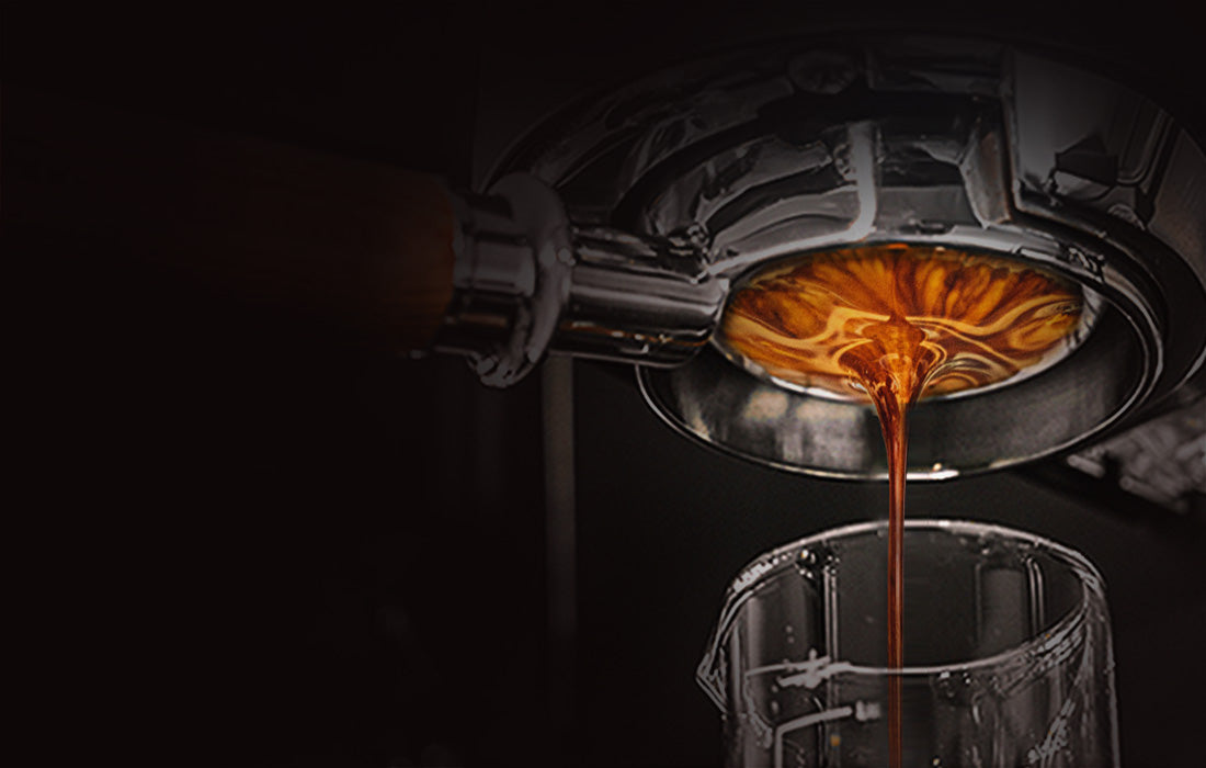 Espressor semiautomat HiBREW H11, 19 bar, 1450W, 1.1l, Argintiu