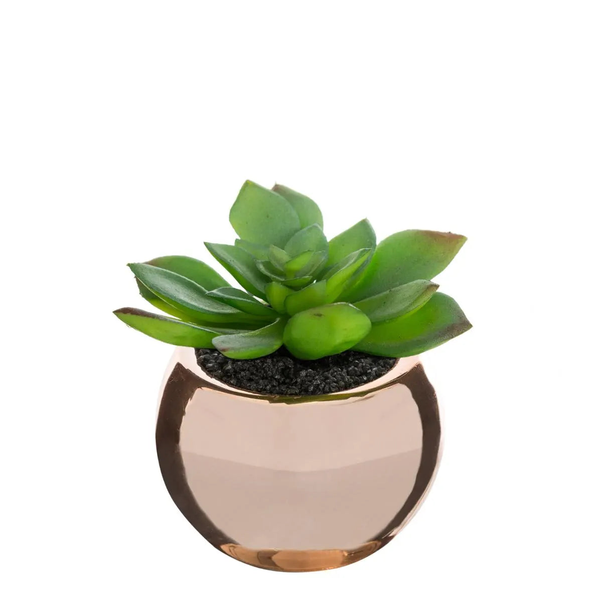 Atmosferă vegetală artificială, 15 cm, diverse specii