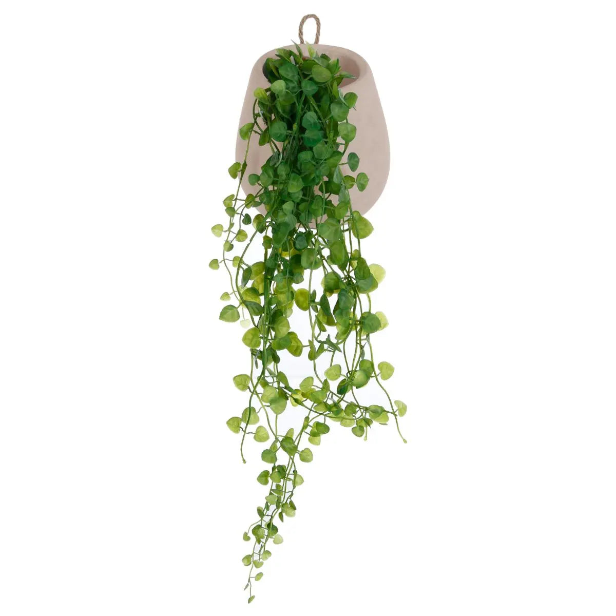 Plante artificiale Atmosphera Iederă suspendată, 62 cm