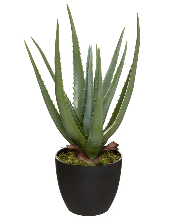 Plantă artificială Atmosphera