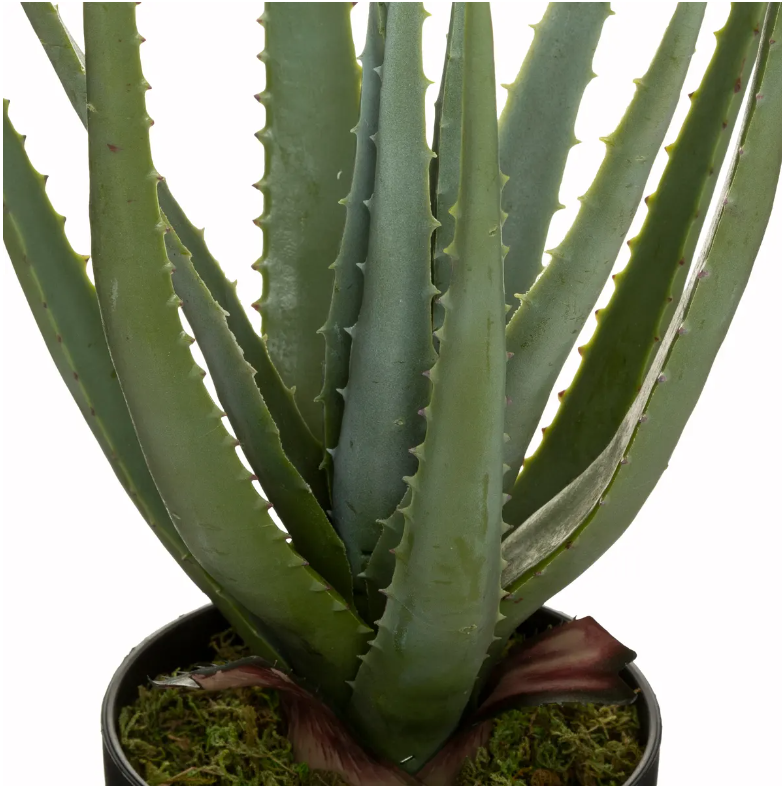 Plantă artificială Atmosphera