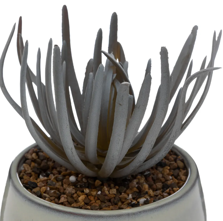 Atmosferă artificială din plante