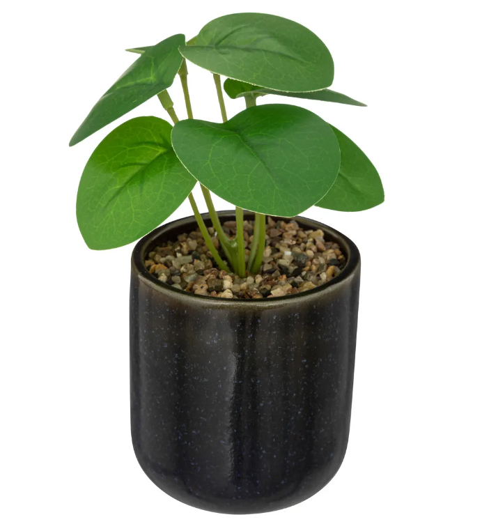 Atmosferă artificială din plante