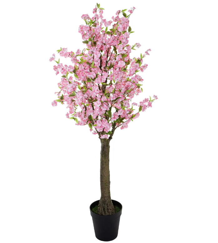 Atmosferă artificială din plante