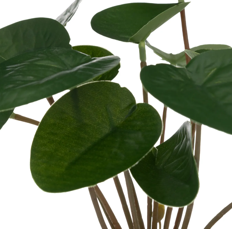 Atmosferă artificială din plante