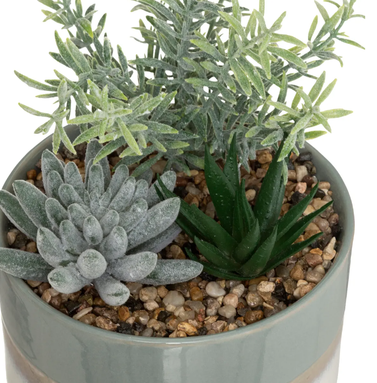 Atmosferă artificială din plante