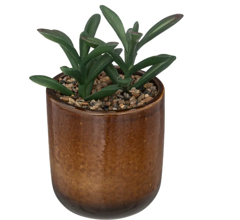 Atmosferă artificială din plante