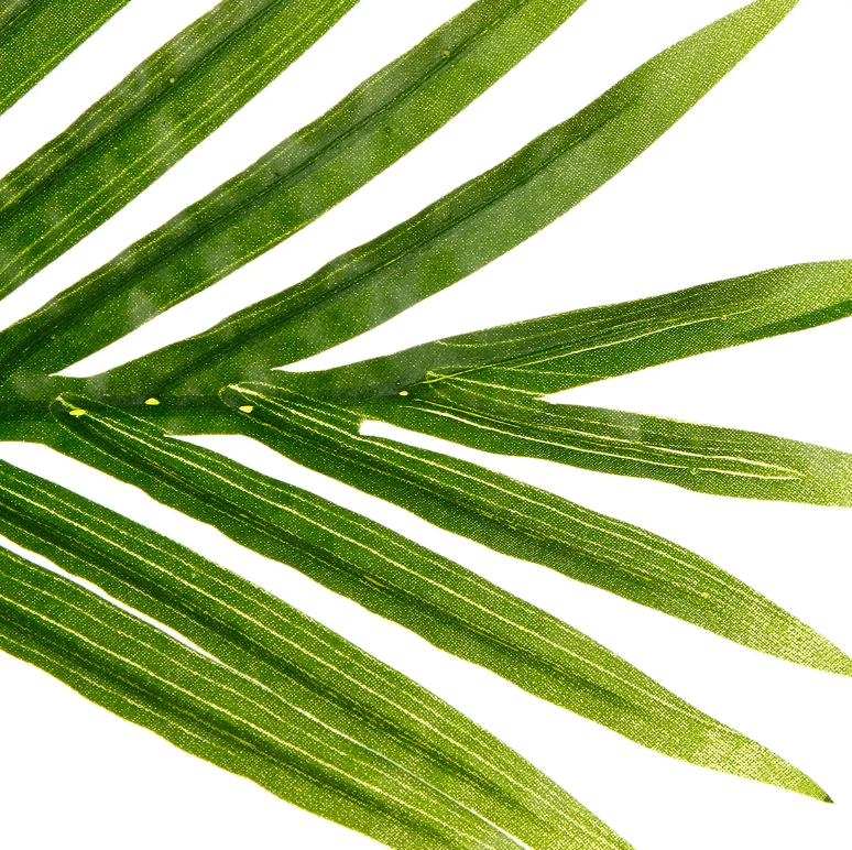 Plantă artificială Atmosphera Palm, 170 cm