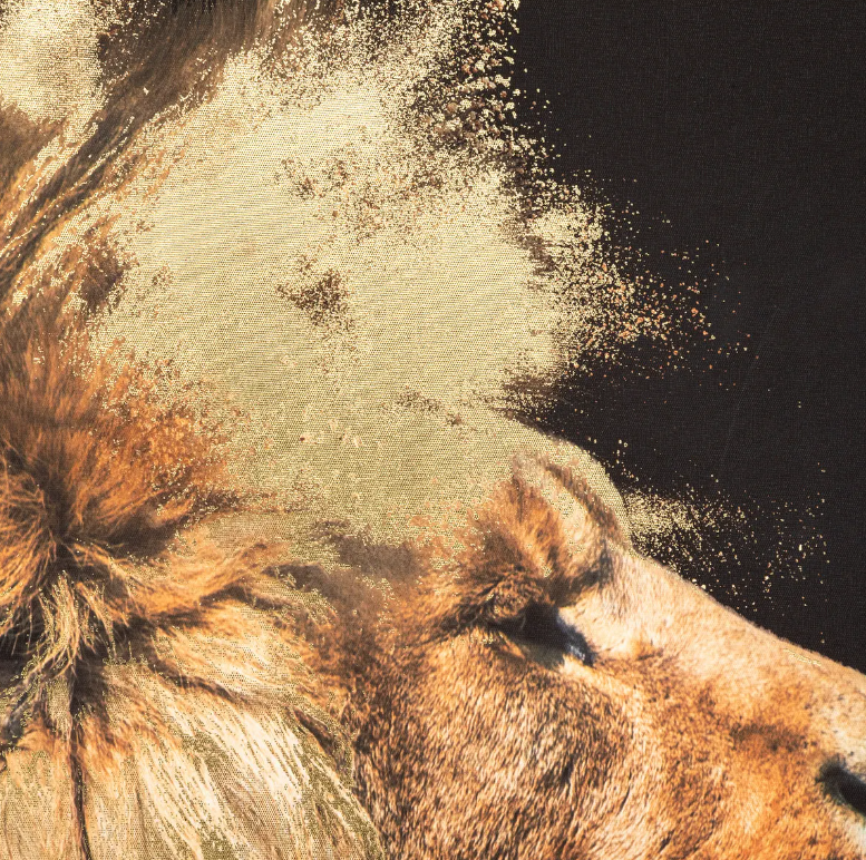 Pictură atmosferă Leu, 60x90 cm