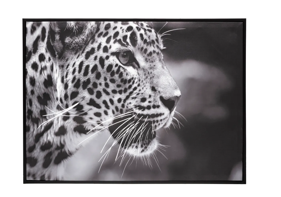 Pictură atmosferă Leopard, 58x58 cm