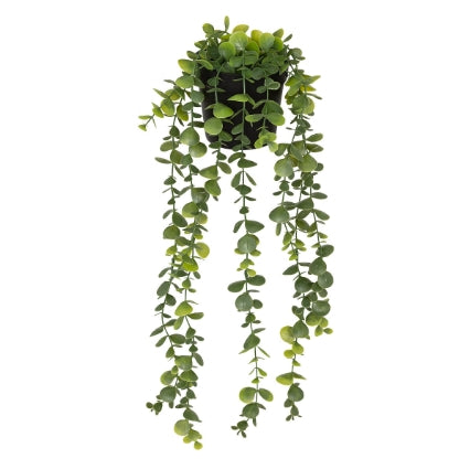 Atmosferă de plantă artificială Eucalipt Merly, 51 cm, diverse specii