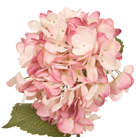 Tulpină decorativă de hortensie Atmosphera Fria, Asortate, 62 cm