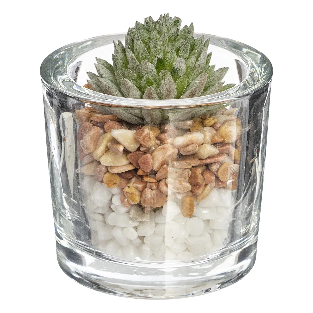 Atmosferă vegetală artificială, 10 cm, diverse specii