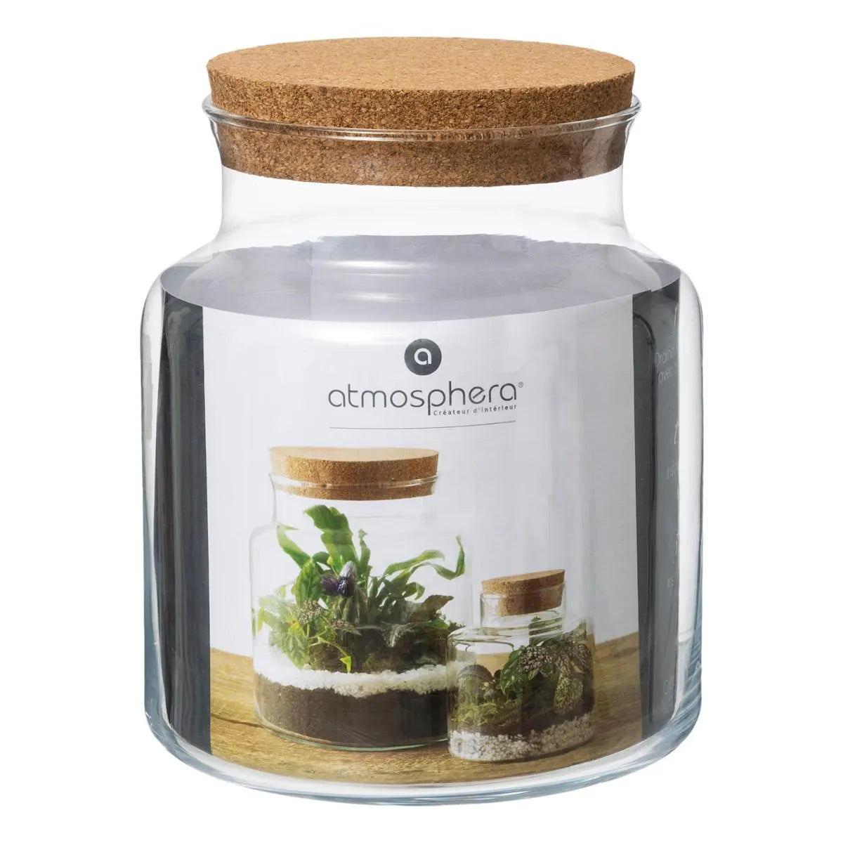 Vază Atmosphera Terariu, Sticlă, 21,5 cm