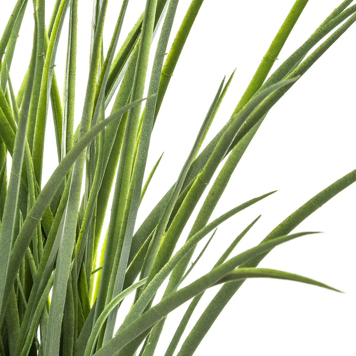 Plantă artificială Atmosphera Grass, 49 cm, iasomie