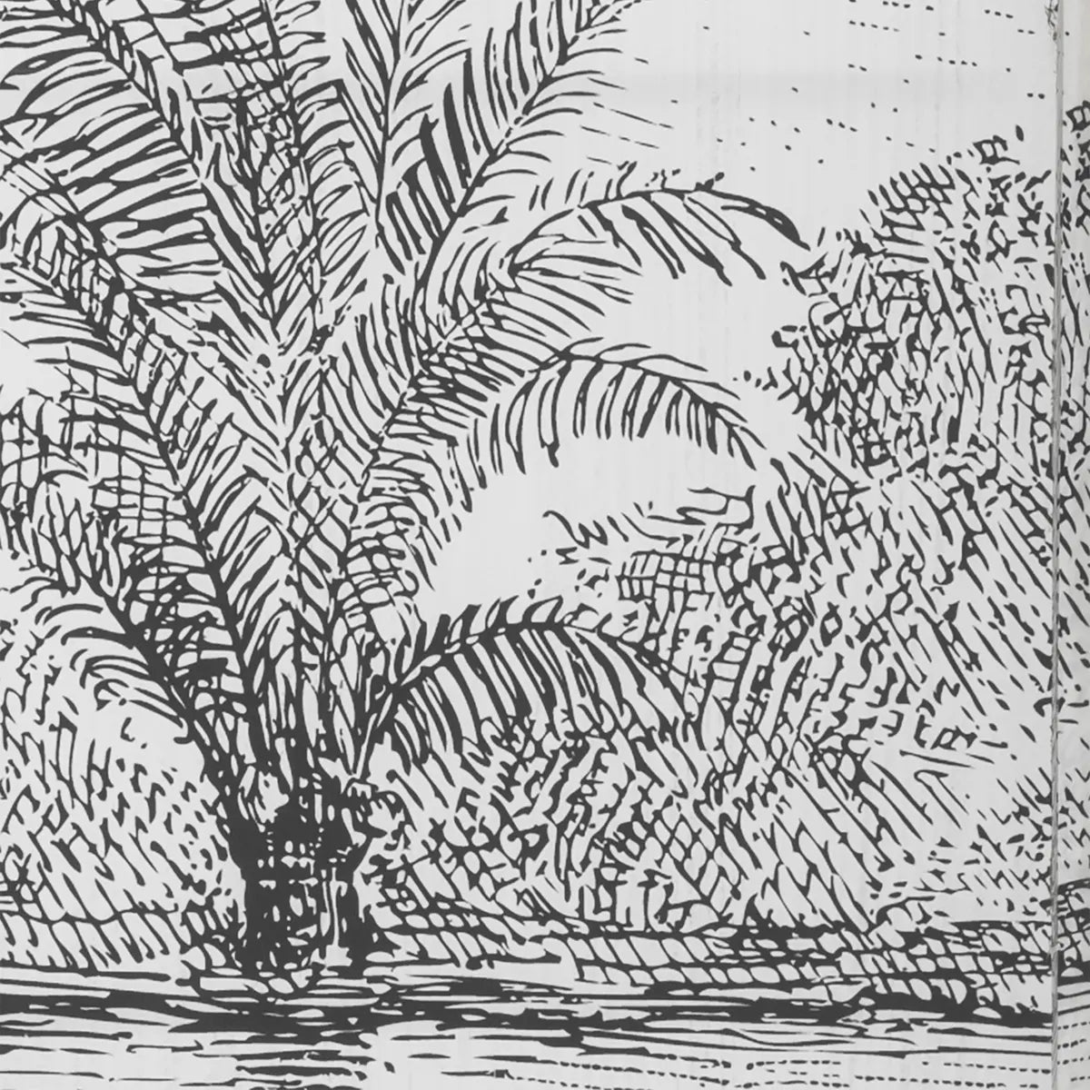 Compartiment atmosferic Cuba, 170 cm, MDF