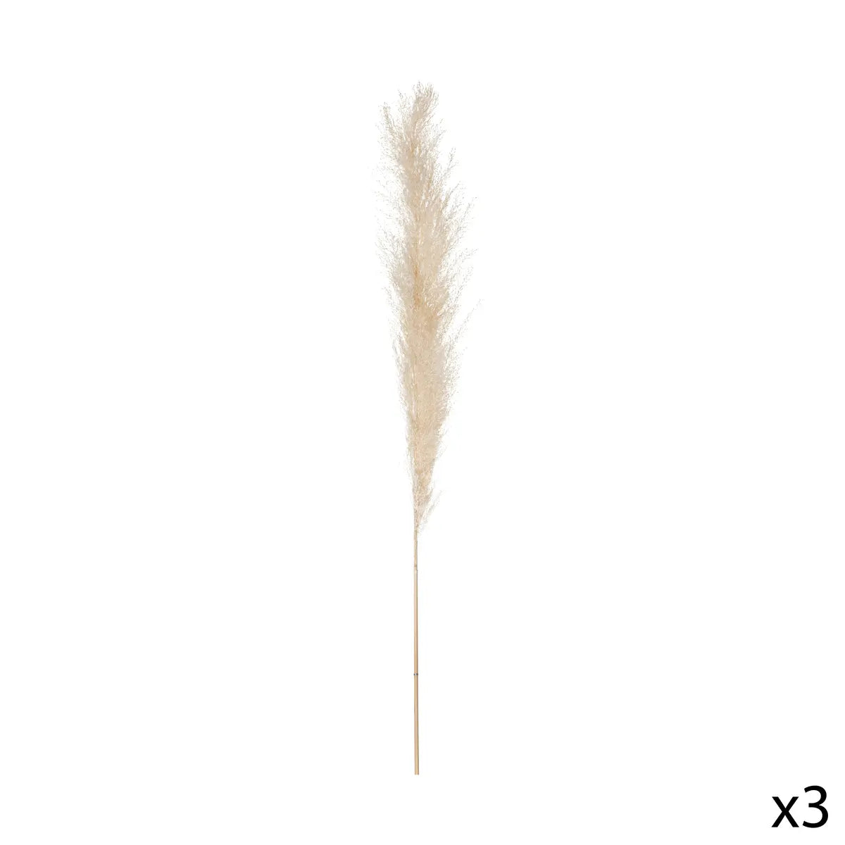 Plantă artificială Atmosphera Natural Pampa, 110cm, 3 buc, bej