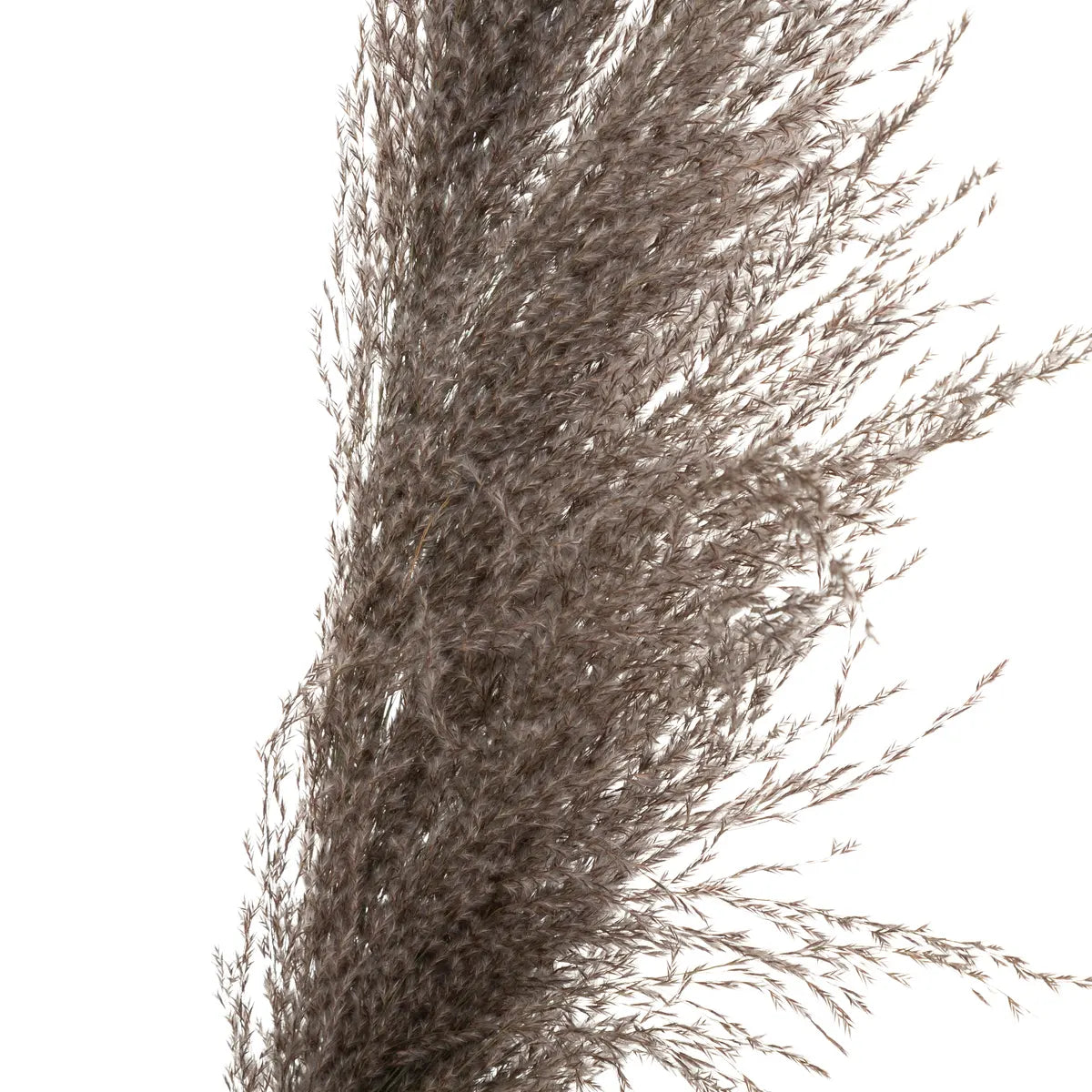 Plantă artificială Atmosphera Natural Pampa, 110cm, 3 buc, maro