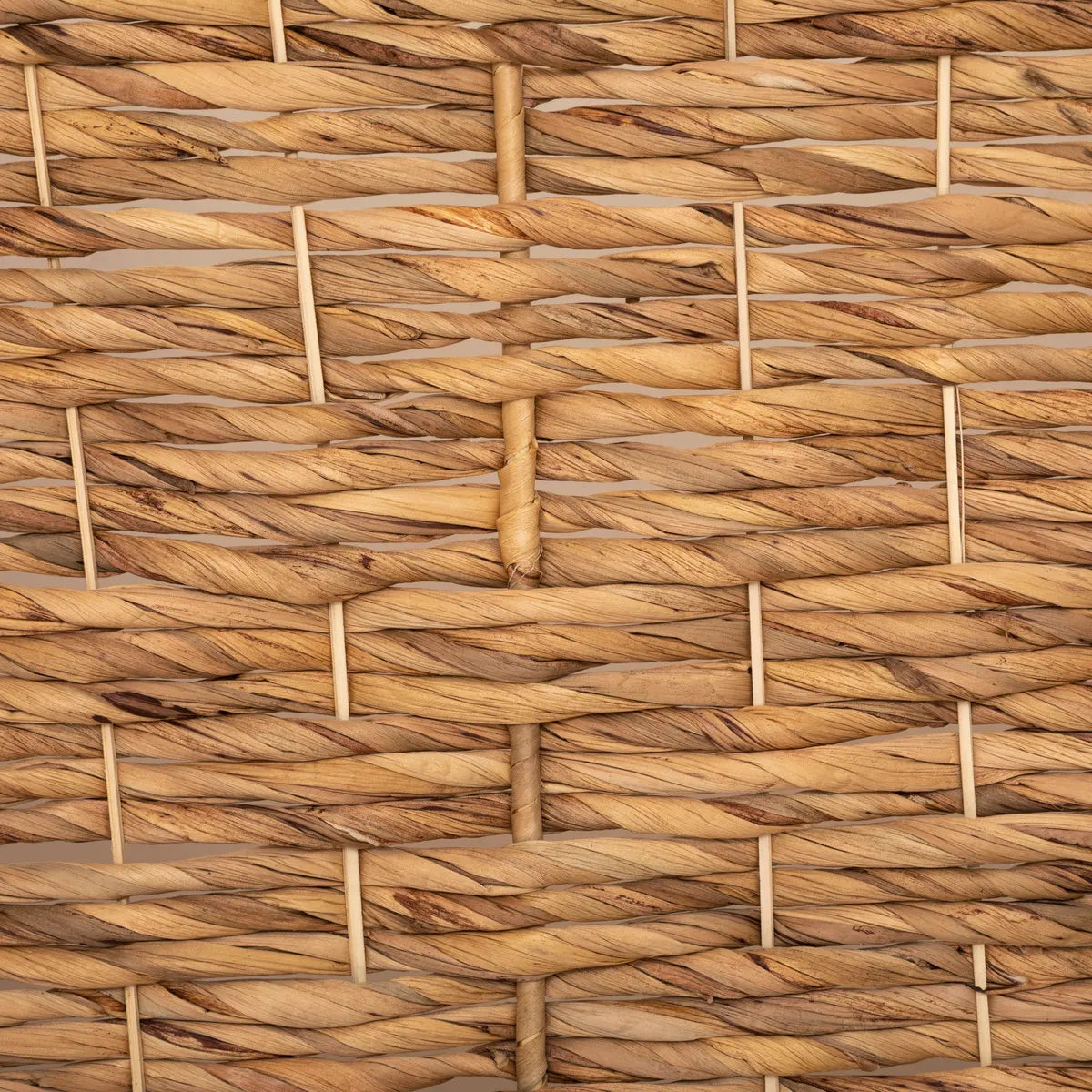 Placă Atmosphera Origines, 178 cm