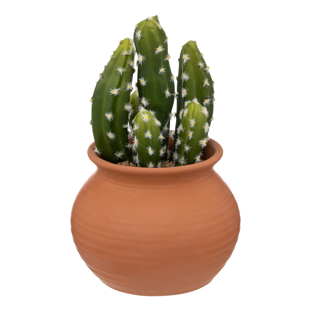 Cactus artificial de atmosferă Ali, 16,5 cm, diverse specii
