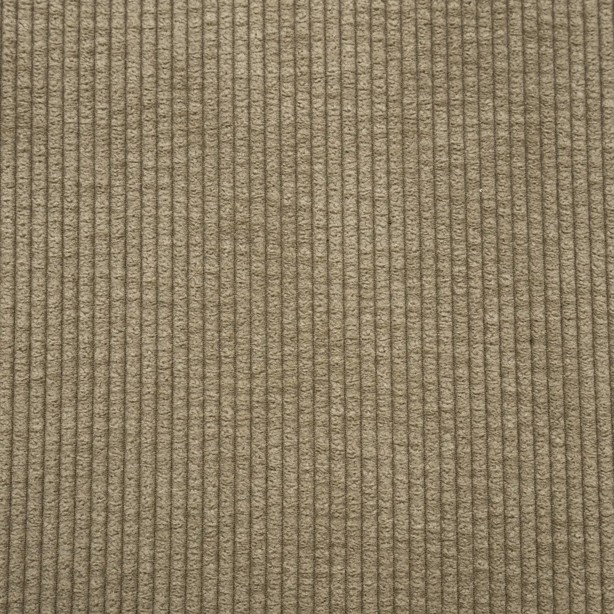 Fotoliu Atmosphere Moana