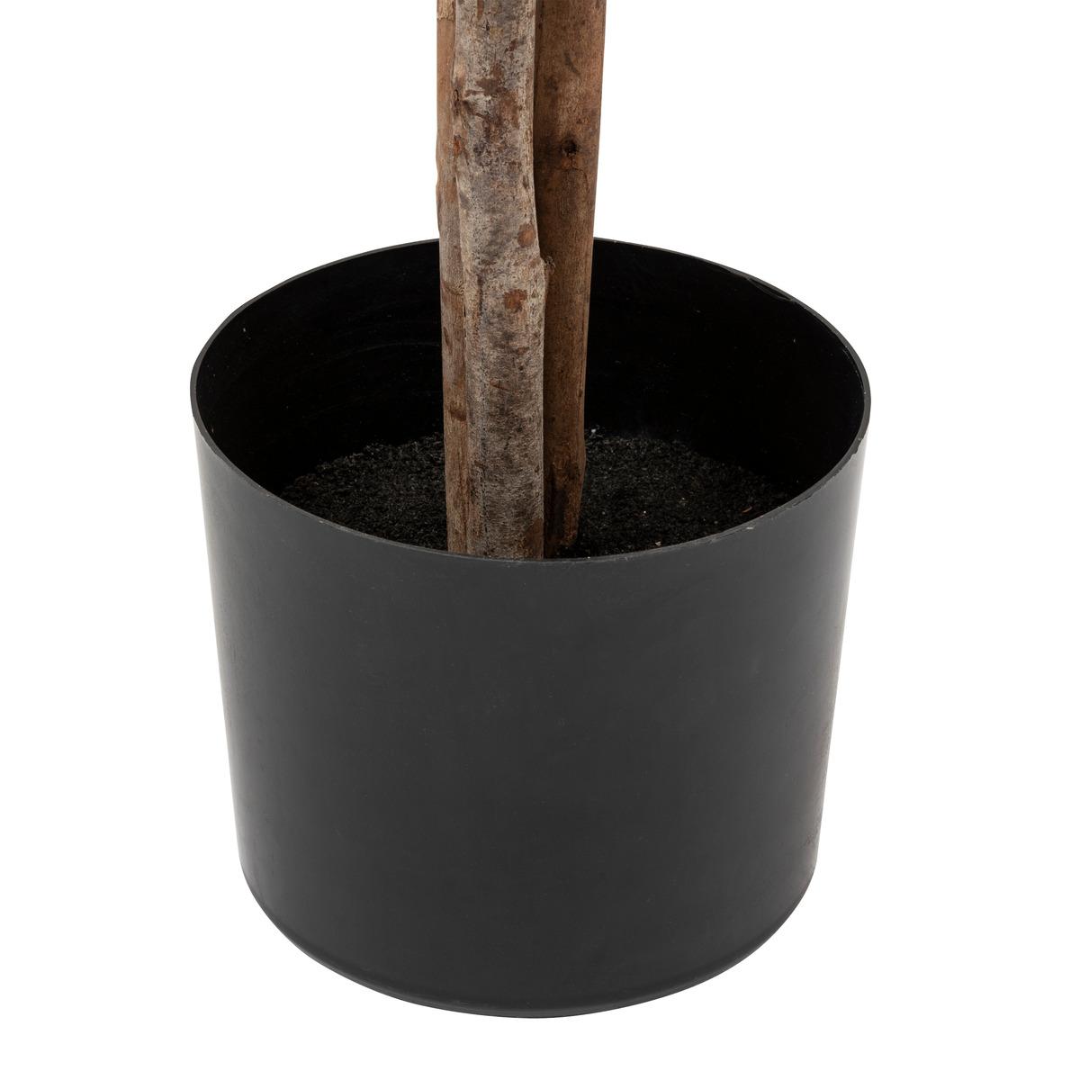 Atmosferă de plantă artificială Martin, 210 cm