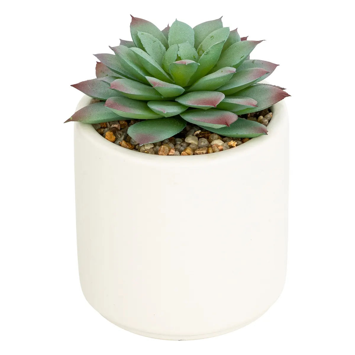Atmosferă de plantă artificială Nils, 12 cm, diverse specii