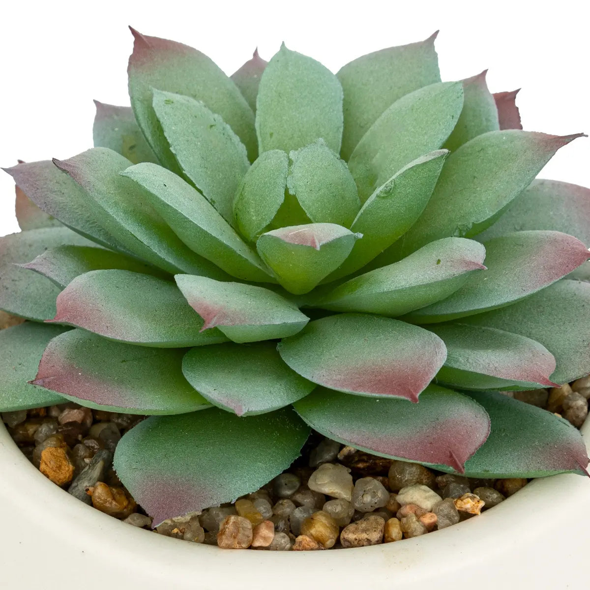 Atmosferă de plantă artificială Nils, 12 cm, diverse specii