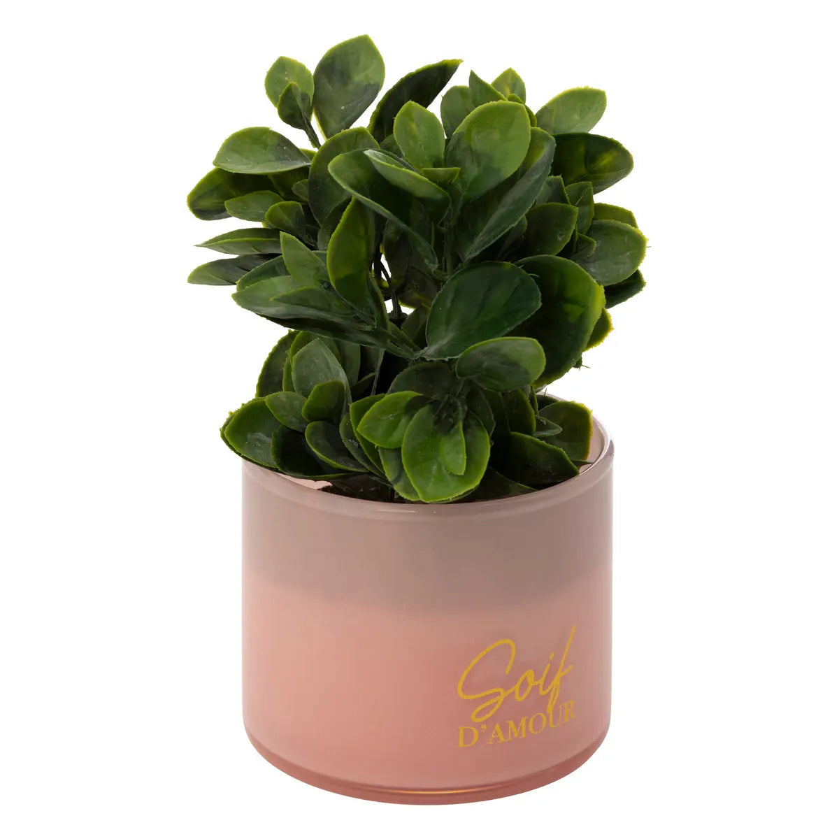 Plantă artificială Atmosphera Tayli Succulent, 18 cm, diverse specii