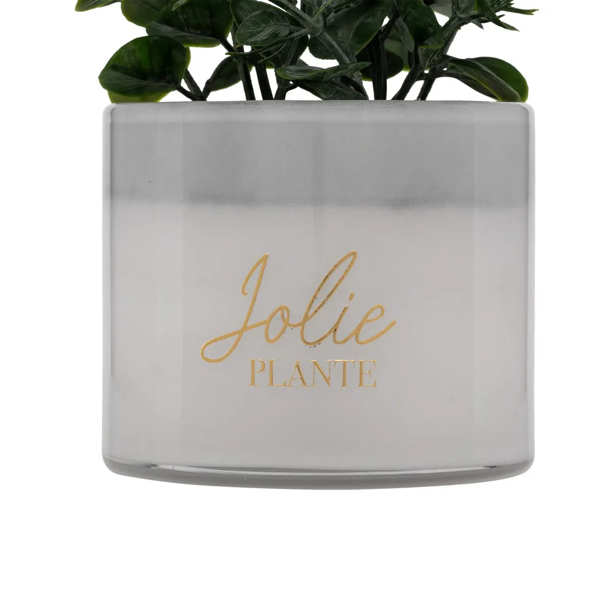 Plantă artificială Atmosphera Tayli Succulent, 18 cm, diverse specii