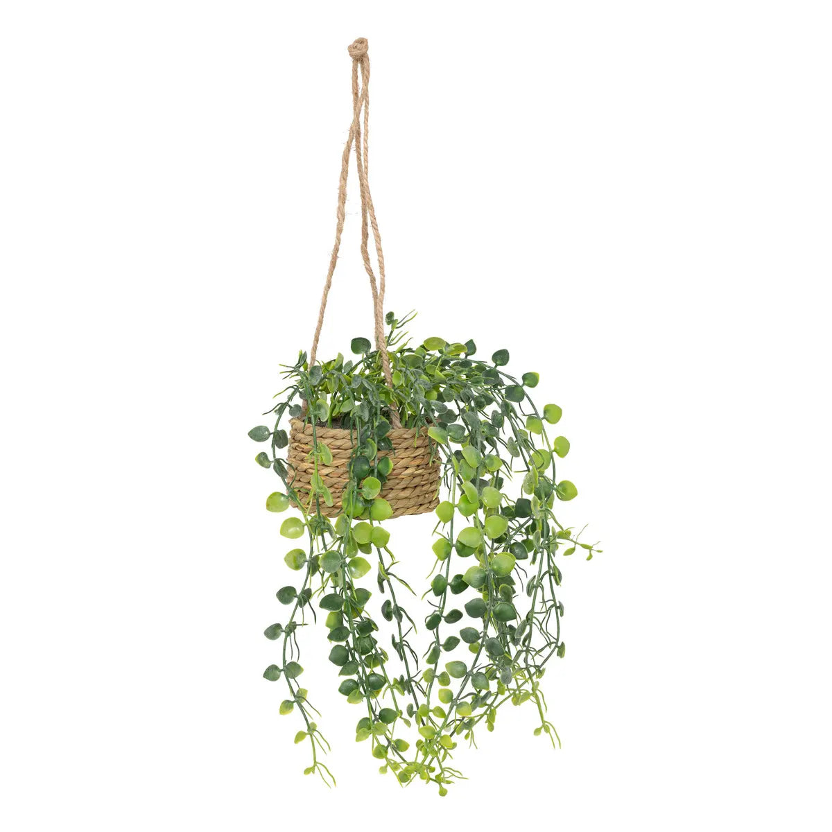 Plantă artificială Atmosphera Patri suspendată, 50 cm, diverse specii