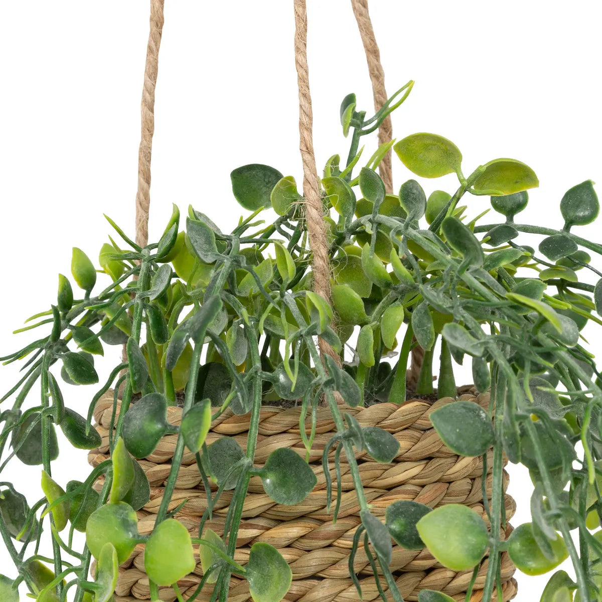 Plantă artificială Atmosphera Patri suspendată, 50 cm, diverse specii