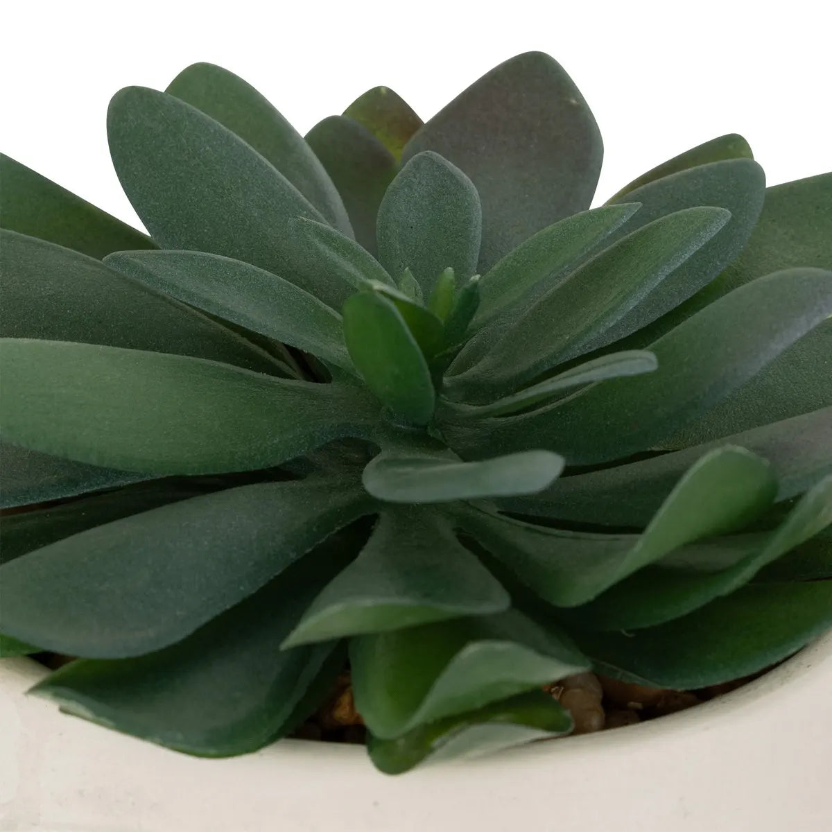 Plantă artificială Atmosphera Dusty Succulent, 22 cm, diverse specii