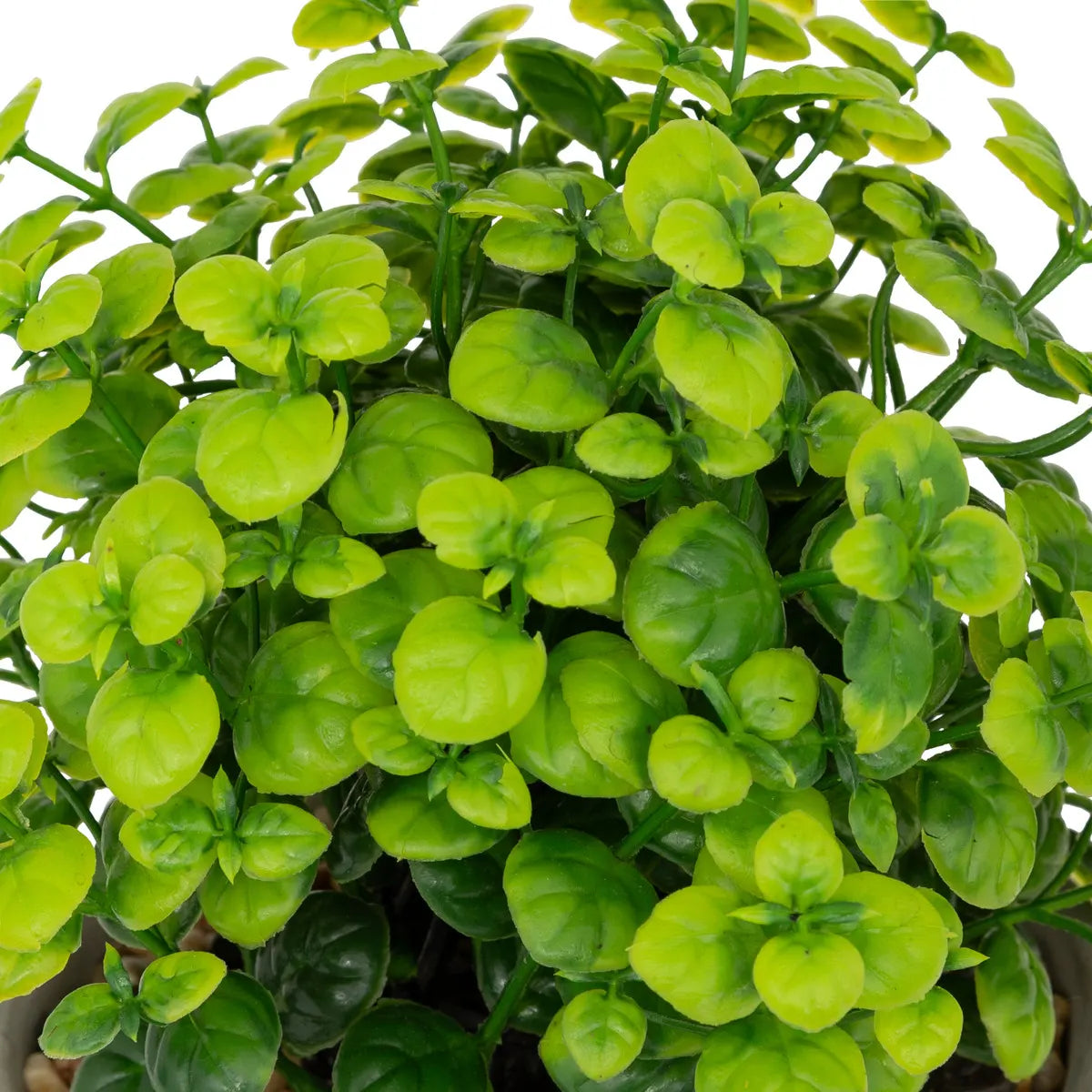 Plantă artificială Atmosphera Dusty Succulent, 22 cm, diverse specii