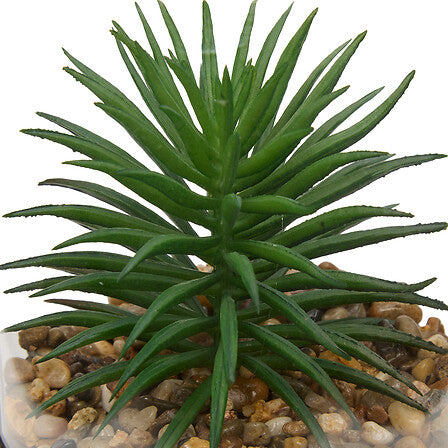 Terariu suspendat Wilo cu atmosferă de plante artificiale, 19 cm, diverse specii