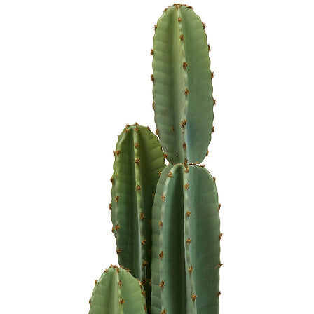Plantă artificială Atmosphera Sien Cactus, 132 cm