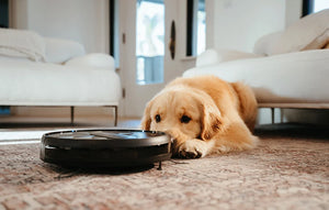 Aspirator robot AIRROBO P20, 35 W, funcționare 120 min, recipient 600 ml, filtru HEPA, negru