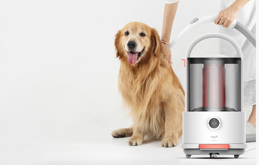 Aspirator multifuncțional Xiaomi Deerma TJ200, 800W, 18kPa, recipient de 6 l, rezervor de 3,5 l, alb