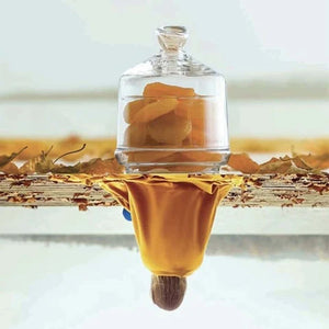 Zahărniță din sticlă cu capac LAV Berry, 285 ml