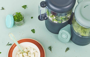 Aparat de călcat cu abur 6 luni+, 4 în 1 Nutribaby din sticlă