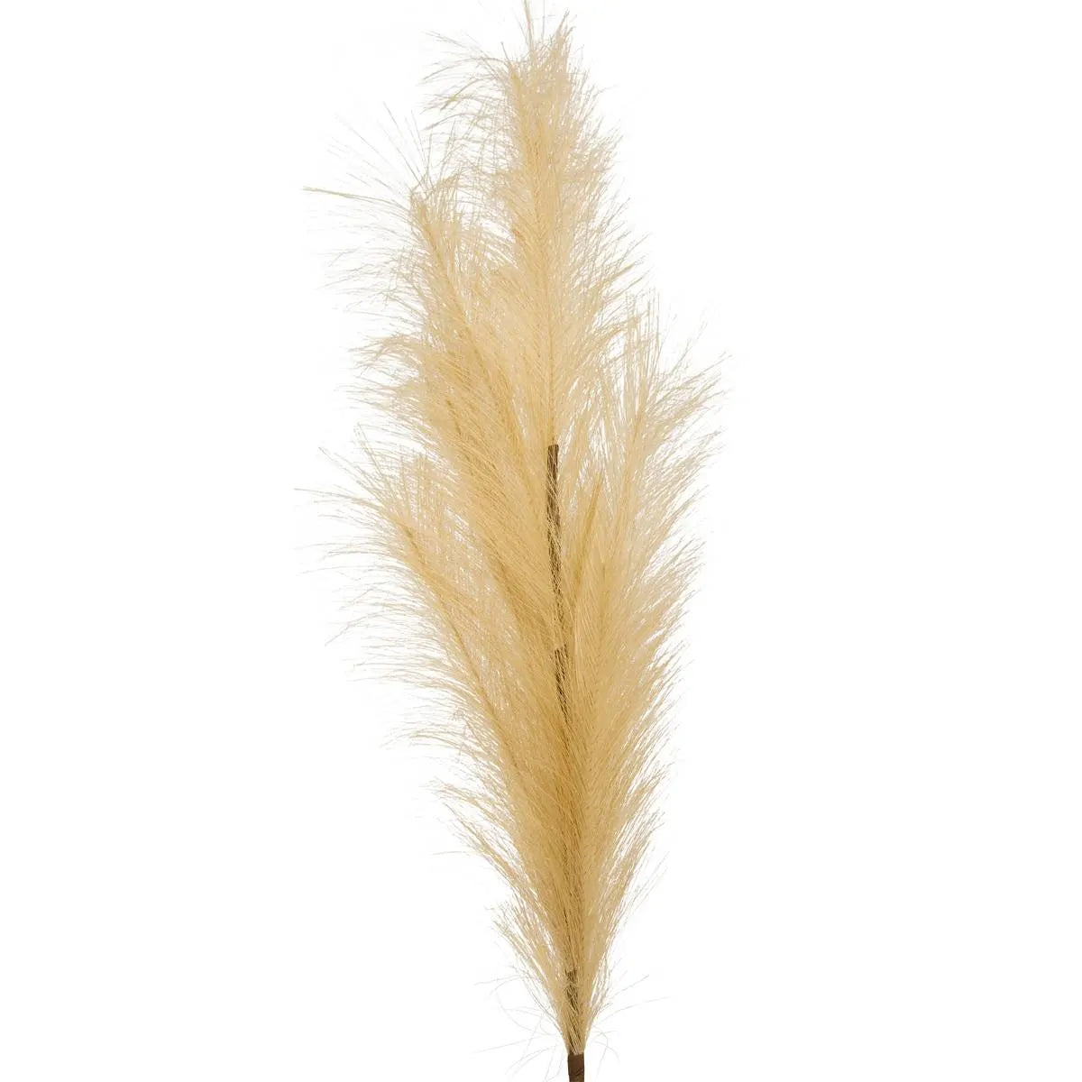 Ramura artificiala de pampas atmosfera Adna, Bej, 90 cm