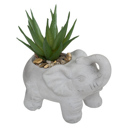 Plantă artificială Atmosphere Buddha, 10 cm, diverse specii