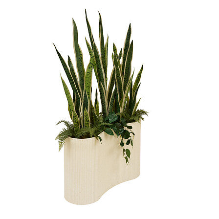 Plantă artificială Atmosphere Sansevieria Sky, 163 cm