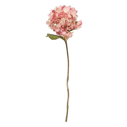 Tulpină decorativă de hortensie Atmosphera Fria, Asortate, 62 cm